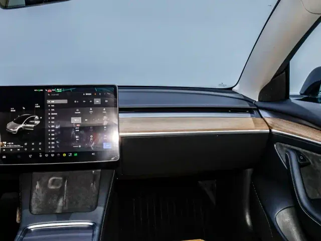 Tesla Model 3 — Фото автомобиля 29