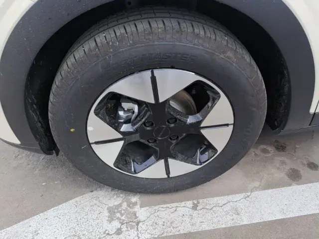 Geely Starry Wish — Фото автомобиля 22