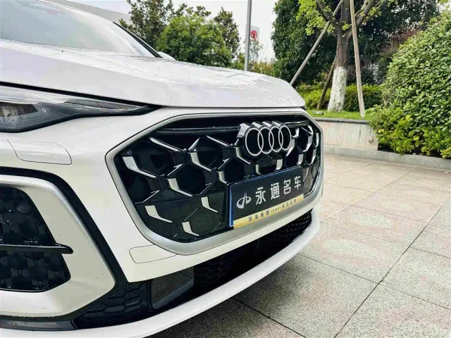 Audi Q5L — Фото автомобиля 22