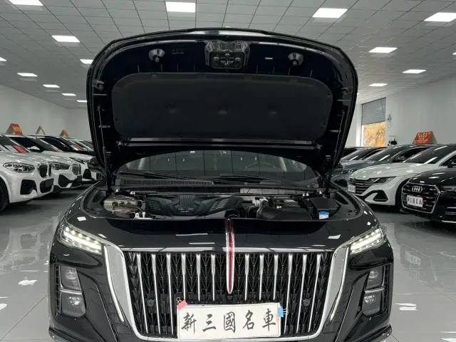 Hongqi H5 — Фото автомобиля 15