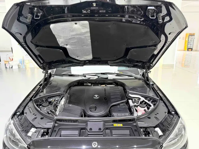 Mercedes-Benz S-Class — Фото автомобиля 9