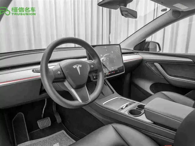 Tesla Model Y — Фото автомобиля 12