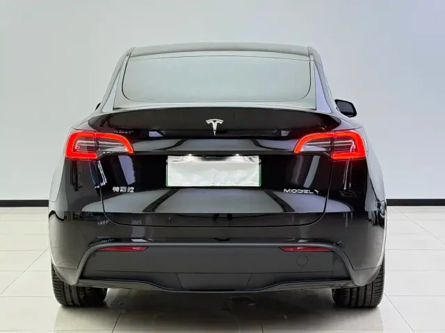 Tesla Model Y — Фото автомобиля 14