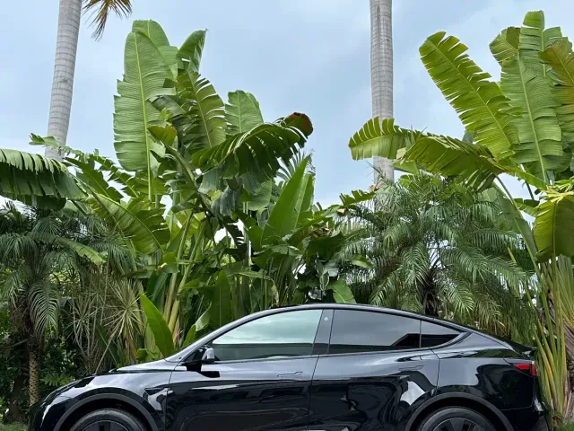 Tesla Model Y — Фото автомобиля 7