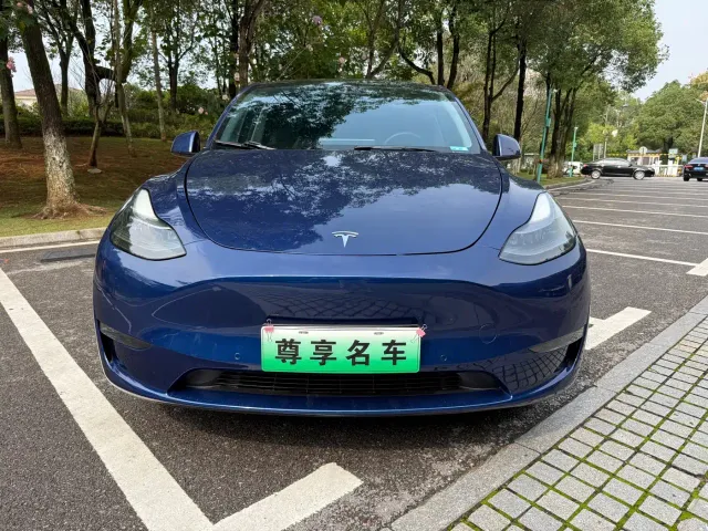 Tesla Model Y — Фото автомобиля 2