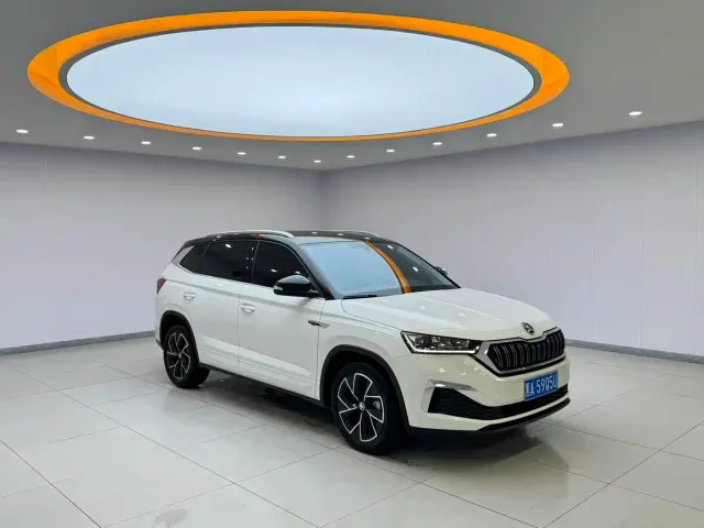 Skoda Kamiq — Фото автомобиля 3