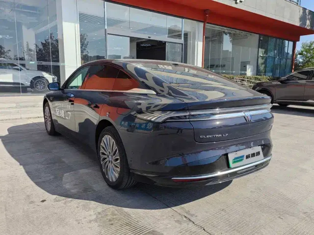 Buick Electra L7 — Фото автомобиля 3