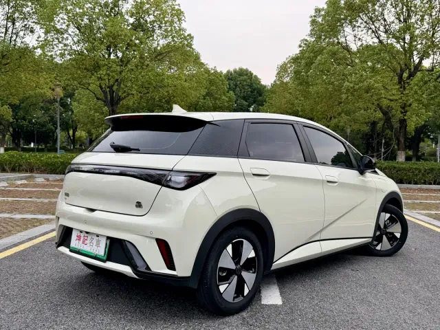 BYD Dolphin — Фото автомобиля 19