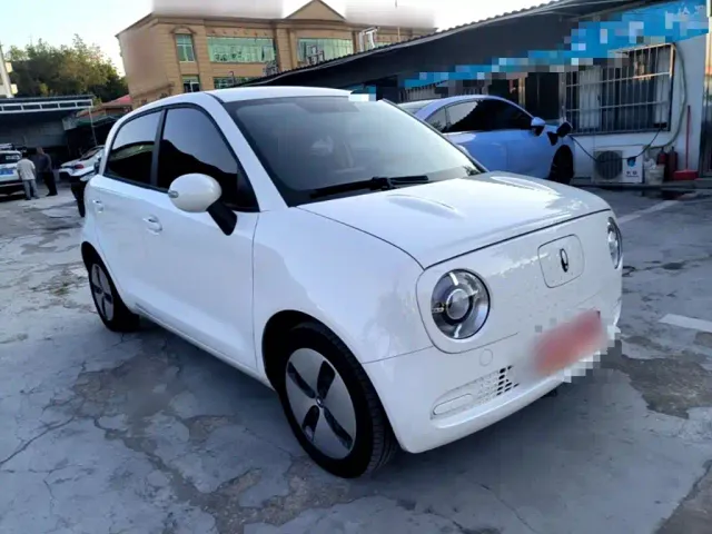 Ora Black Cat — Фото автомобиля 3