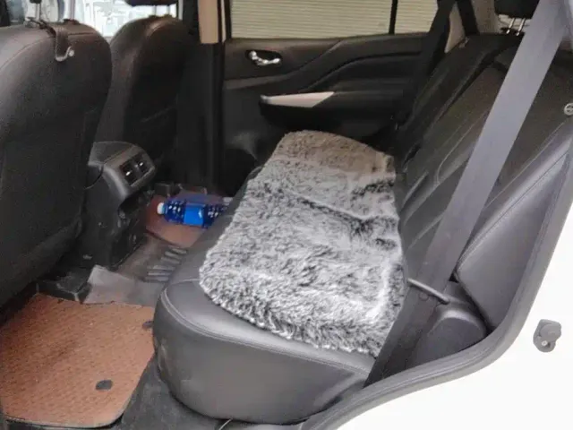 Nissan Terra — Фото автомобиля 11