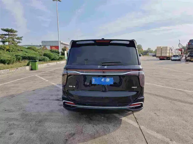Hongqi Hongqi HQ9 2023 2.0T Smart Connect Flag Enjoy Edition — Фото автомобиля 8