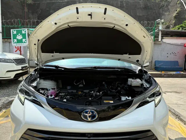 Toyota Sienna — Фото автомобиля 20