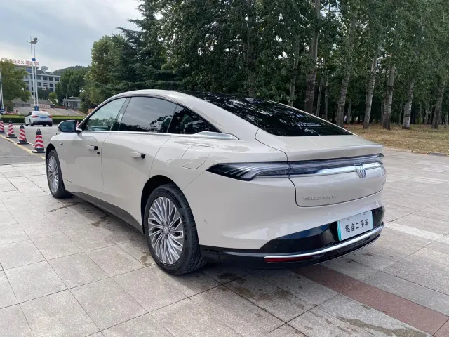 Buick Electra L7 — Фото автомобиля 6