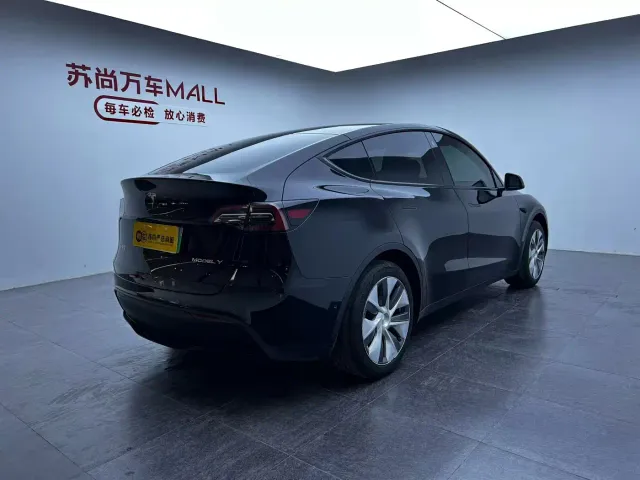 Tesla Model Y — Фото автомобиля 7
