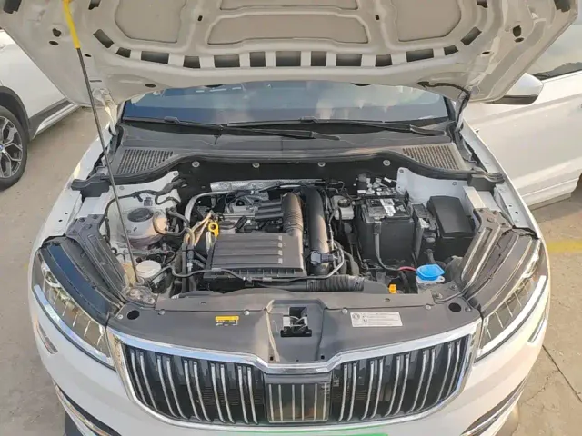 Skoda Karoq — Фото автомобиля 19