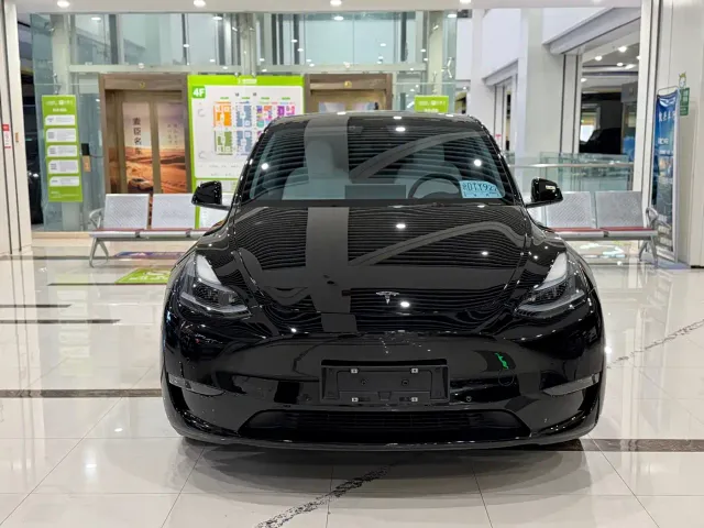 Tesla Model Y 2022 Performance High-Performance All-Wheel Drive Version — Фото автомобиля 2