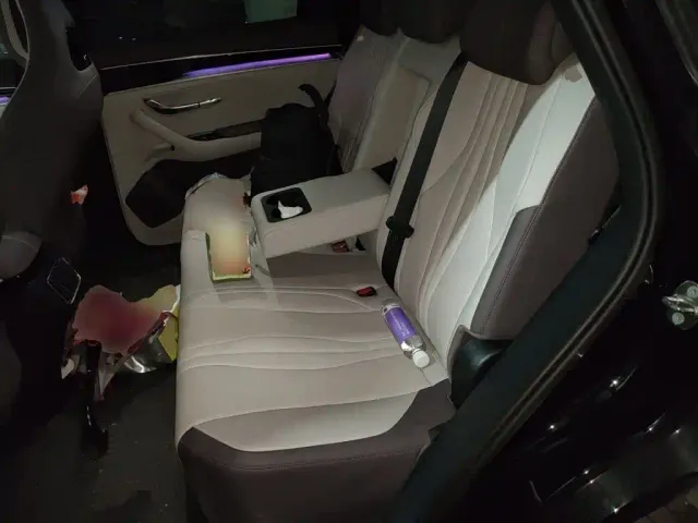 BYD Song PLUS — Фото автомобиля 18