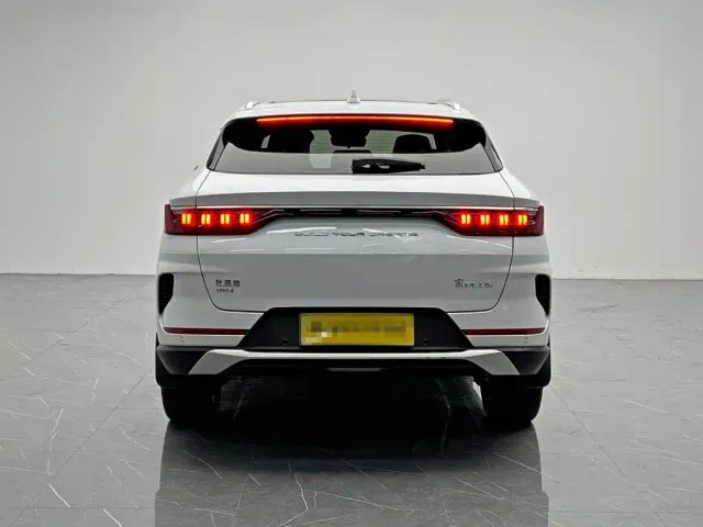 BYD Song PLUS — Фото автомобиля 5