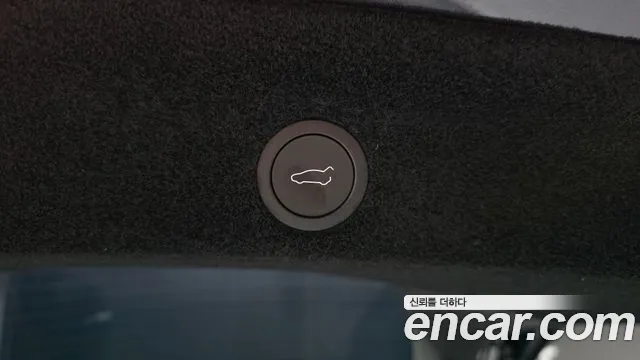 Tesla Model Y — Фото автомобиля 29