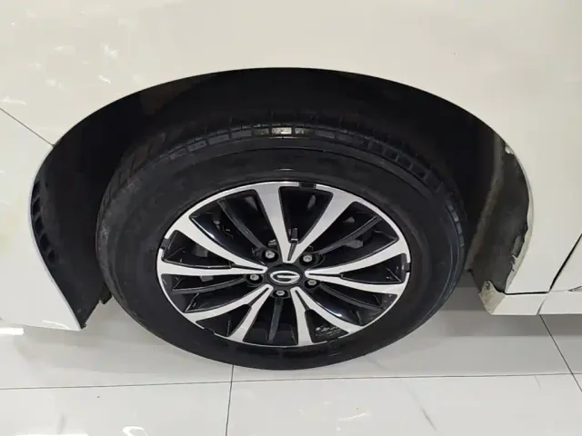 GAC Trumpchi M8 — Фото автомобиля 22