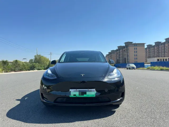 Tesla Model Y — Фото автомобиля 2