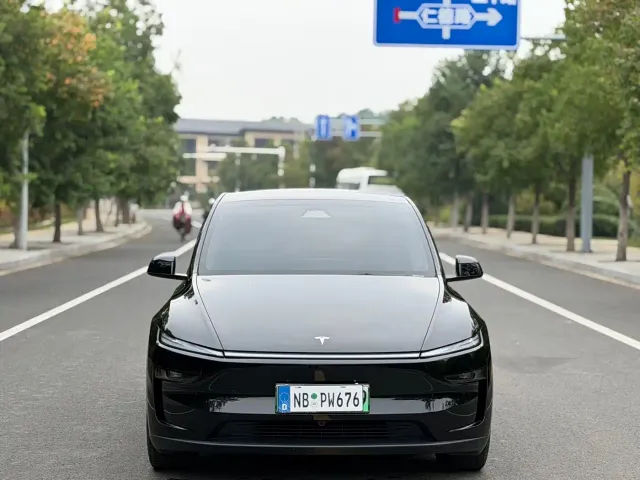 Tesla Model Y — Фото автомобиля 2