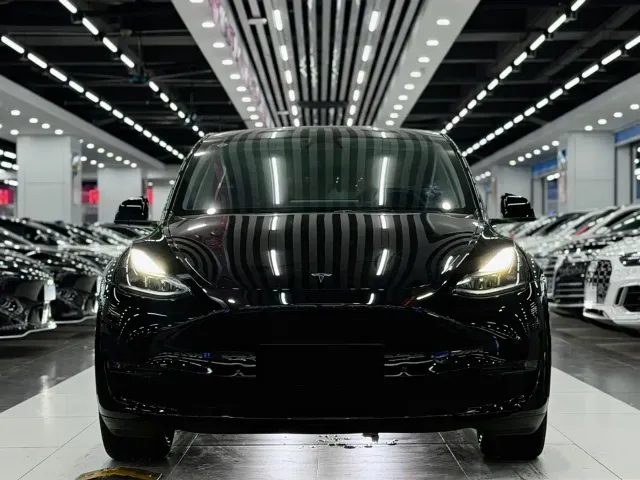 Tesla Model Y — Фото автомобиля 2