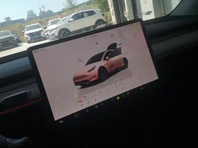 Tesla Model Y — Фото автомобиля 13