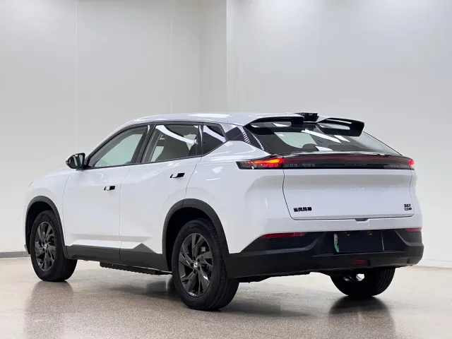 Dongfeng SKY EV01 — Фото автомобиля 4