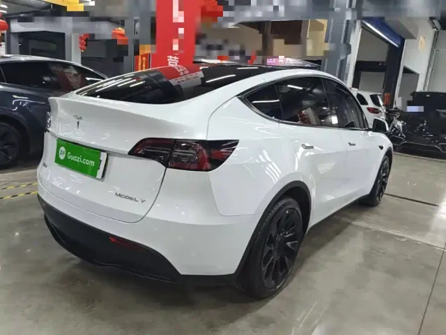 Tesla Model Y — Фото автомобиля 6
