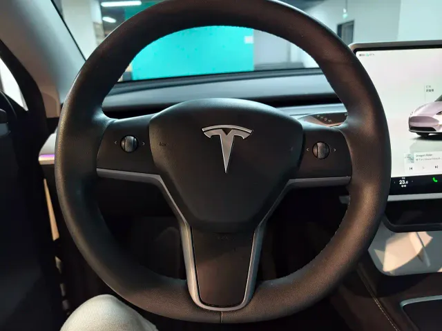 Tesla Model Y — Фото автомобиля 9
