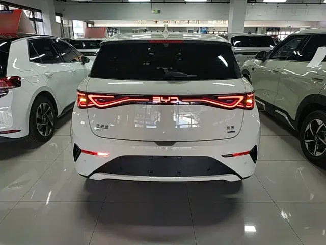 BYD Dolphin — Фото автомобиля 5