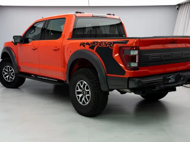 Ford F-150 Raptor — Фото автомобиля 20