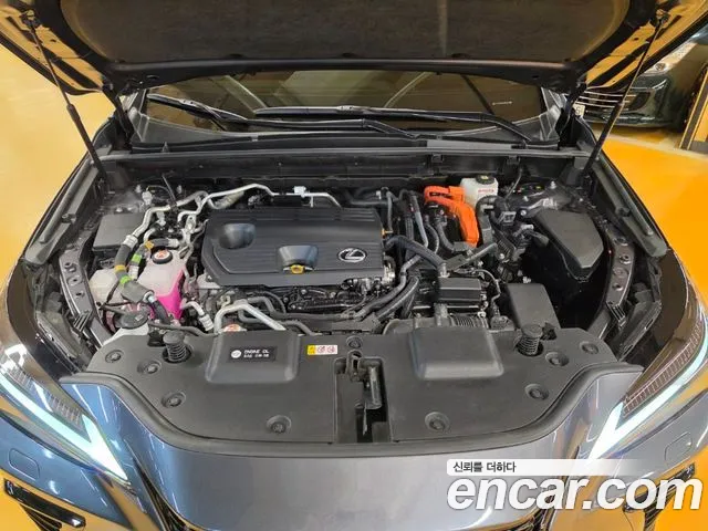 Lexus NX — Фото автомобиля 6