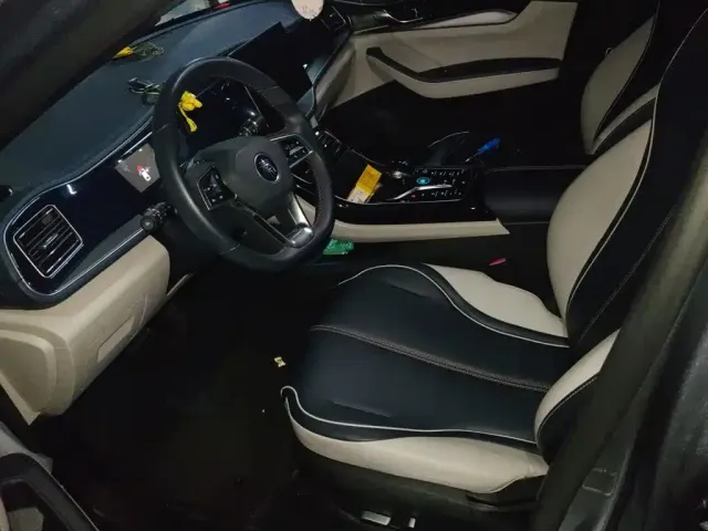 BYD Qin PLUS 2021 DM-i 55KM Flagship — Фото автомобиля 11