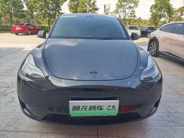 Tesla Model Y — Фото автомобиля 2