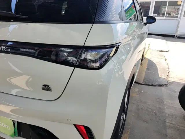BYD Dolphin — Фото автомобиля 23
