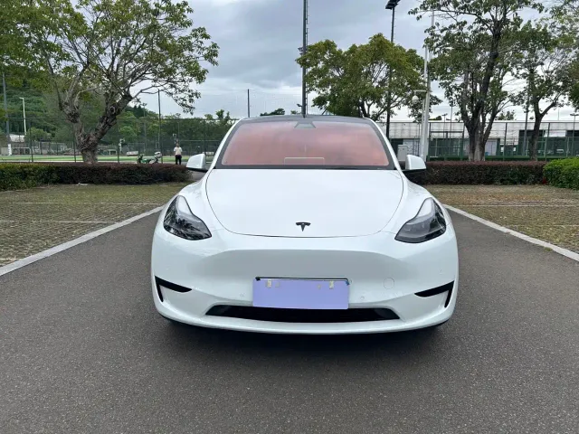Tesla Model Y — Фото автомобиля 2