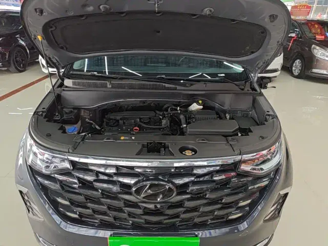 Hyundai Custo — Фото автомобиля 19