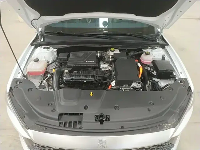 BYD Qin PLUS — Фото автомобиля 15