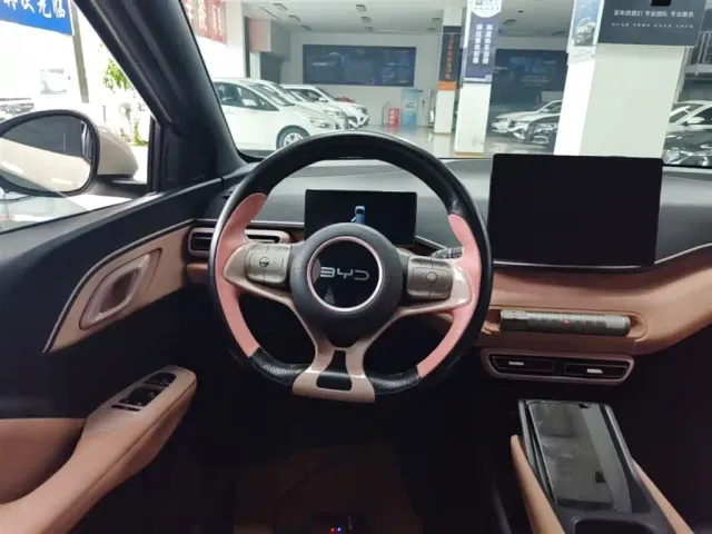 BYD Seagull — Фото автомобиля 10