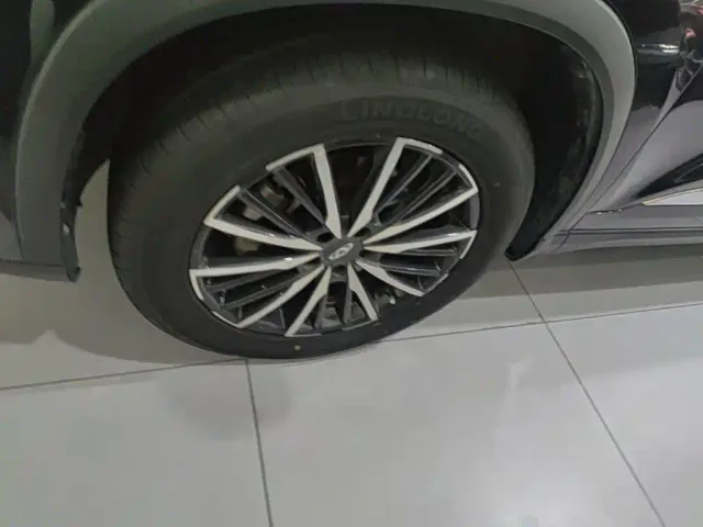 Chery Tiggo 8 PLUS 2021 290TGDI DCT Passion Edition — Фото автомобиля 22