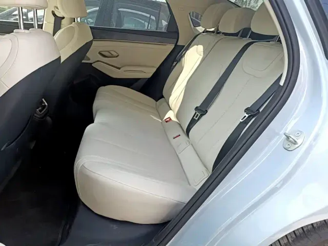 BYD Qin L — Фото автомобиля 16