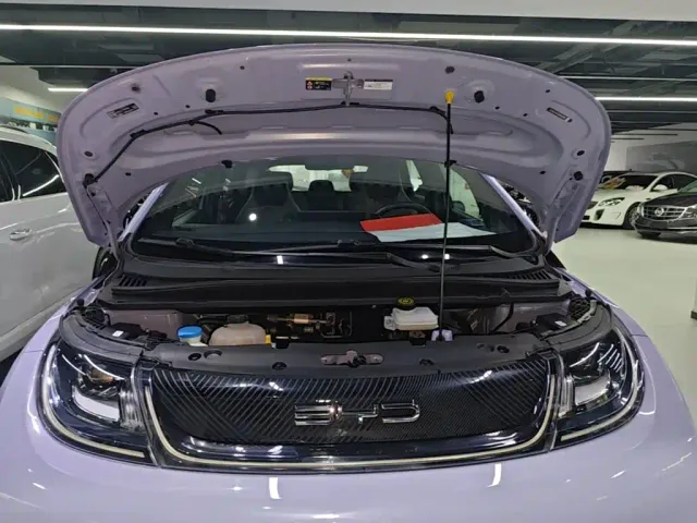 BYD Dolphin — Фото автомобиля 19