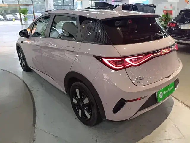 BYD Dolphin — Фото автомобиля 4