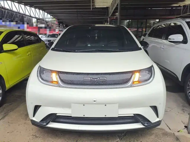 BYD Dolphin — Фото автомобиля 2