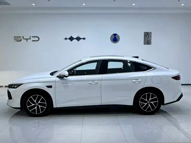 BYD Qin L — Фото автомобиля 2