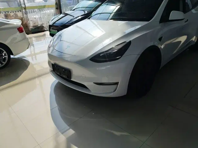 Tesla Model Y — Фото автомобиля 23