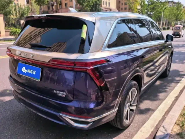 Wey Lanshan — Фото автомобиля 3