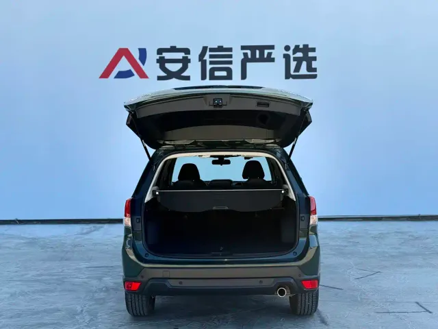 Subaru Forester 2022 2.0i AWD Luxury Edition with EyeSight — Фото автомобиля 8
